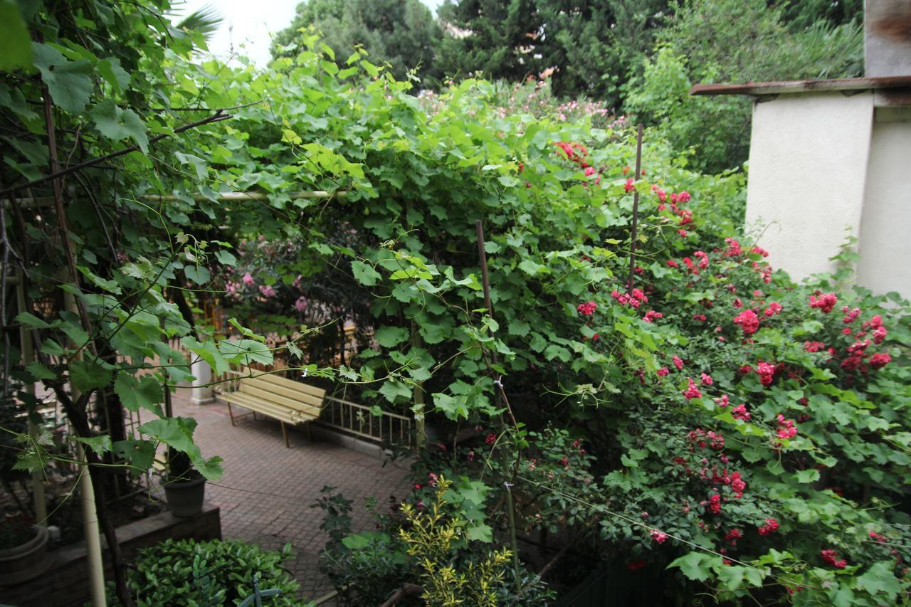 Guesthouse Different Tbilisi Exterior photo